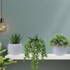 Winlyn Set of 3 Small Faux Potted Succulent Plants Artificial Trailing String of Pearls Aloe Hops Plant in Gray Ceramic Pots Desk Plant for Home Office Kitchen Bathroom Shelf Table Decorations