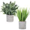 2 Pack Small Potted Eucalyptus Plant Artificial Grass in Pot Assorted Mini Houseplants Greenery for Indoor Kitchen Dining Room Office Apartment Tabletop Decorations Wedding Centerpiece 8.9″ Tall