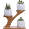 3pcs Owl Succulent Pots with 3 Tier Bamboo Saucers Stand Holder – White Modern Decorative Ceramic Flower Planter with Drainage – Home Office Desk Garden Mini Cactus Plant Pot Indoor Decoration