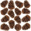 BESTTOYHOME 15 PCS Natural Pinecones Medium Pine Cones Ornaments Real Preserved Pine Cones – Dried -3″ – 4″ Tall for Guest Seating Place Card Holders or Wedding Guest Favors Christmas Winter Xmas