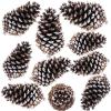 Supla 10 PCS Natural Pinecones Medium Frosted Pine Cones Ornaments Real Preserved Pine Cones – Dried -3″- 4″ Tall for Home Decor Christmas Winter Xmas