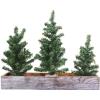 Winlyn 3 Pack Mini Canadian Pine Trees with Wood Bases Artificial Miniature Christmas Trees and Rustic Planter for Holiday Season Tabletop Decoration Centerpiece Displays