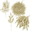 Winlyn 30 Pcs Christmas Artificial Leaf Sprays Cedar Picks Silver Glittered Christmas Tree Ornaments Winter Floral Stems for Sliver Christmas Tree Wreaths Centerpieces Holiday Wedding Decoration(Champagne)