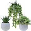 Winlyn Set of 3 Small Faux Potted Succulent Plants Artificial Trailing String of Pearls Aloe Hops Plant in Gray Ceramic Pots Desk Plant for Home Office Kitchen Bathroom Shelf Table Decorations