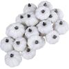 24 Pcs Harvest White Mini Artificial Baby Boo Pumpkins Rustic Decorative Pumpkins Foam Pumpkins for Fall Autumn Halloween Thanksgiving Table Centerpiece Wreath Decor Bowl Fillers DIY Projects