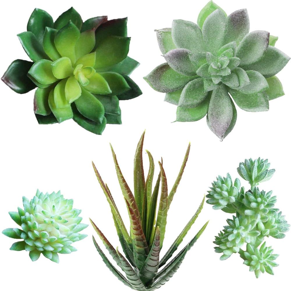 imageSupla 5 Pcs Assorted Artificial Succulents Plants Unpotted Small Green Cactus Echeveria Picks Fake Succulents Bulk for Succulent Garden Centerpiece Wreath Floral Arrangement Indoor Outdoor Home Dcor
