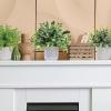 Set of 3 Assorted Small Potted Plants Fake Eucalyptus and Rosemary Plants in Gray Geometric Concrete Ceramic Pots for Gifts Home Kitchen Office Shelf Table Desk Modern Indoor Outdoor Greenery Decor