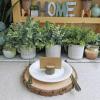 Set of 3 Assorted Small Potted Plants Fake Eucalyptus and Rosemary Plants in Gray Geometric Concrete Ceramic Pots for Gifts Home Kitchen Office Shelf Table Desk Modern Indoor Outdoor Greenery Decor
