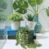 Set of 3 Assorted Small Potted Succulent Plants Fake Aloe String of Pearls Hops Succulents in Gray Geometric Concrete Ceramic Pots for Gifts Modern Home Office Desk Table Indoor Outdoor Greenery Decor