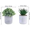Set of 3 Assorted Small Potted Succulent Plants Fake Aloe String of Pearls Hops Succulents in Gray Geometric Concrete Ceramic Pots for Gifts Modern Home Office Desk Table Indoor Outdoor Greenery Decor
