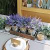 Set of 3 Small Potted Plants Arrangement Artificial Lavender Flower Plants in Rustic Galvanized Metal Pots with Decorative Wood Tray for Farmhouse Table Centerpiece Windowsill Country Indoor Decor