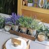 Set of 3 Small Potted Plants Arrangement Artificial Lavender and Grass Plants in Rustic Galvanized Metal Pots with Decorative Wood Tray for Farmhouse Table Centerpiece Windowsill Indoor Greenery Decor