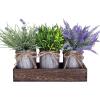 Set of 3 Small Potted Plants Arrangement Artificial Lavender and Grass Plants in Rustic Galvanized Metal Pots with Decorative Wood Tray for Farmhouse Table Centerpiece Windowsill Indoor Greenery Decor
