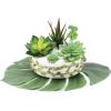 Supla 5 Pcs Assorted Artificial Succulents Plants Unpotted Small Green Cactus Echeveria Picks Fake Succulents Bulk for Succulent Garden Centerpiece Wreath Floral Arrangement Indoor Outdoor Home Décor
