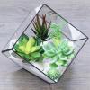Supla 5 Pcs Assorted Artificial Succulents Plants Unpotted Small Green Cactus Echeveria Picks Fake Succulents Bulk for Succulent Garden Centerpiece Wreath Floral Arrangement Indoor Outdoor Home Décor