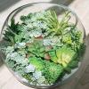 Winlyn 19 Pcs Assorted Artificial Succulents Plants Unpotted Small Green Aloe Hops Cactus String of Pearls Picks Fake Succulents Bulk for Succulent Garden Floral Arrangement Indoor Outdoor Home Decor