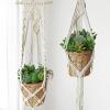 Winlyn 20 Pcs Assorted Artificial Succulents Plants Unpotted Small Green Cactus Echeveria Air Plant Picks Fake Succulents Bulk for Succulent Garden Wreath Floral Arrangement Indoor Outdoor Home Decor