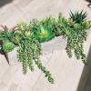 Winlyn 21 Pcs Assorted Artificial Succulents Plants Unpotted Small Green String of Pearls Cacti Aloe Picks Fake Succulents Bulk for Succulent Garden Wreath Floral Arrangement Indoor Outdoor Home Decor