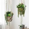 Winlyn 21 Pcs Assorted Artificial Succulents Plants Unpotted Small Green String of Pearls Cacti Aloe Picks Fake Succulents Bulk for Succulent Garden Wreath Floral Arrangement Indoor Outdoor Home Decor