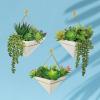 Winlyn 21 Pcs Assorted Artificial Succulents Plants Unpotted Small Green String of Pearls Cacti Aloe Picks Fake Succulents Bulk for Succulent Garden Wreath Floral Arrangement Indoor Outdoor Home Decor