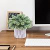 Winlyn 3 Pack Small Faux Succulent Plants Fake String of Pearls Aloe Hops Succulents in Gray Geometric Concrete Pots Artificial Potted Plant for Office Desk Home Tabletop Windowsill Shelf Decor