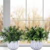 Winlyn 3 Pcs Faux Potted Plants Set – Artificial Eucalyptus, Rosemary, Boxwood Greenery in Small White Geometric Planters for Indoor Outdoor Desk Table Centerpiece Shelf Windowsill Home Office Decor