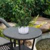 Winlyn 3 Pcs Faux Potted Plants Set – Artificial Eucalyptus, Rosemary, Boxwood Greenery in Small White Geometric Planters for Indoor Outdoor Desk Table Centerpiece Shelf Windowsill Home Office Decor
