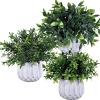 Winlyn 3 Pcs Faux Potted Plants Set – Artificial Eucalyptus, Rosemary, Boxwood Greenery in Small White Geometric Planters for Indoor Outdoor Desk Table Centerpiece Shelf Windowsill Home Office Decor