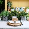 Winlyn 3-Pack Artificial Potted Plants – Faux Eucalyptus, Rosemary, Boxwood Greenery in Small Black & White Geometric Concrete Pots -Desk, Table, Shelf, Windowsill Decor for Indoor Outdoor Home Office