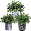 Winlyn 3-Pack Artificial Potted Plants – Faux Eucalyptus, Rosemary, Boxwood Greenery in Small Black & White Geometric Concrete Pots -Desk, Table, Shelf, Windowsill Decor for Indoor Outdoor Home Office