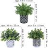 Winlyn 3-Pack Artificial Potted Plants – Faux Eucalyptus, Rosemary, Boxwood Greenery in Small Black & White Geometric Concrete Pots -Desk, Table, Shelf, Windowsill Decor for Indoor Outdoor Home Office