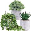 Set of 3 Assorted Small Potted Succulent Plants Fake Aloe String of Pearls Hops Succulents in Gray Geometric Concrete Ceramic Pots for Gifts Modern Home Office Desk Table Indoor Outdoor Greenery Decor
