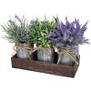 Set of 3 Small Potted Plants Arrangement Artificial Lavender and Grass Plants in Rustic Galvanized Metal Pots with Decorative Wood Tray for Farmhouse Table Centerpiece Windowsill Indoor Greenery Decor