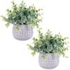 Winlyn 2 Pack Small Potted Plants Faux Eucalyptus in Gray Ceramic Pots Artificial Greenery Potted Plants 7.1″ Tall for Farmhouse Table Mantel Shelf Bathroom Kitchen Office Desk Décor