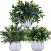 Winlyn 3 Pcs Faux Potted Plants Set – Artificial Eucalyptus, Rosemary, Boxwood Greenery in Small White Geometric Planters for Indoor Outdoor Desk Table Centerpiece Shelf Windowsill Home Office Decor