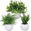 Winlyn 3 Pcs Small Potted Plants Artificial Eucalyptus Rosemary Plants and Aloe Succulent Plant in Gray Geometric Cement Pots for Gifts Table Windowsill Shelf Home Bathroom Indoor Outdoor Green Decor