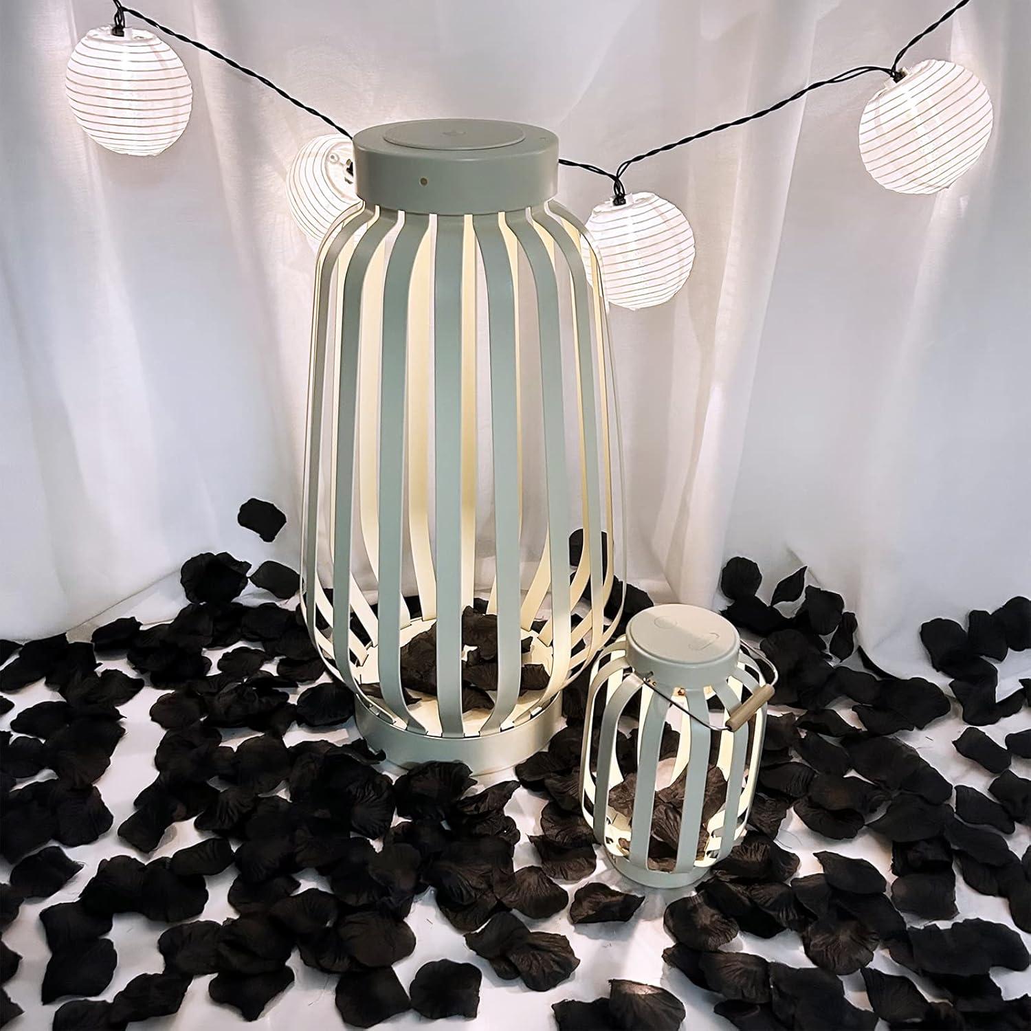 imageWinlyn 3000 Pcs Black Silk Rose Petals Set Scented Readytouse Separated Realistic Artificial Rose Flower Petals for Romantic Night Weddings Proposals Anniversaries Valentines Day Halloween DecorBlack