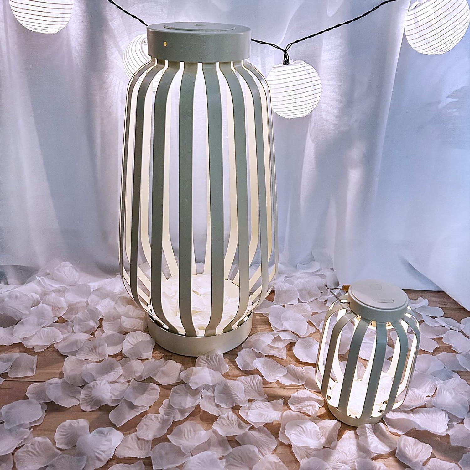 imageWinlyn 3000 Pcs Black Silk Rose Petals Set Scented Readytouse Separated Realistic Artificial Rose Flower Petals for Romantic Night Weddings Proposals Anniversaries Valentines Day Halloween DecorWhite