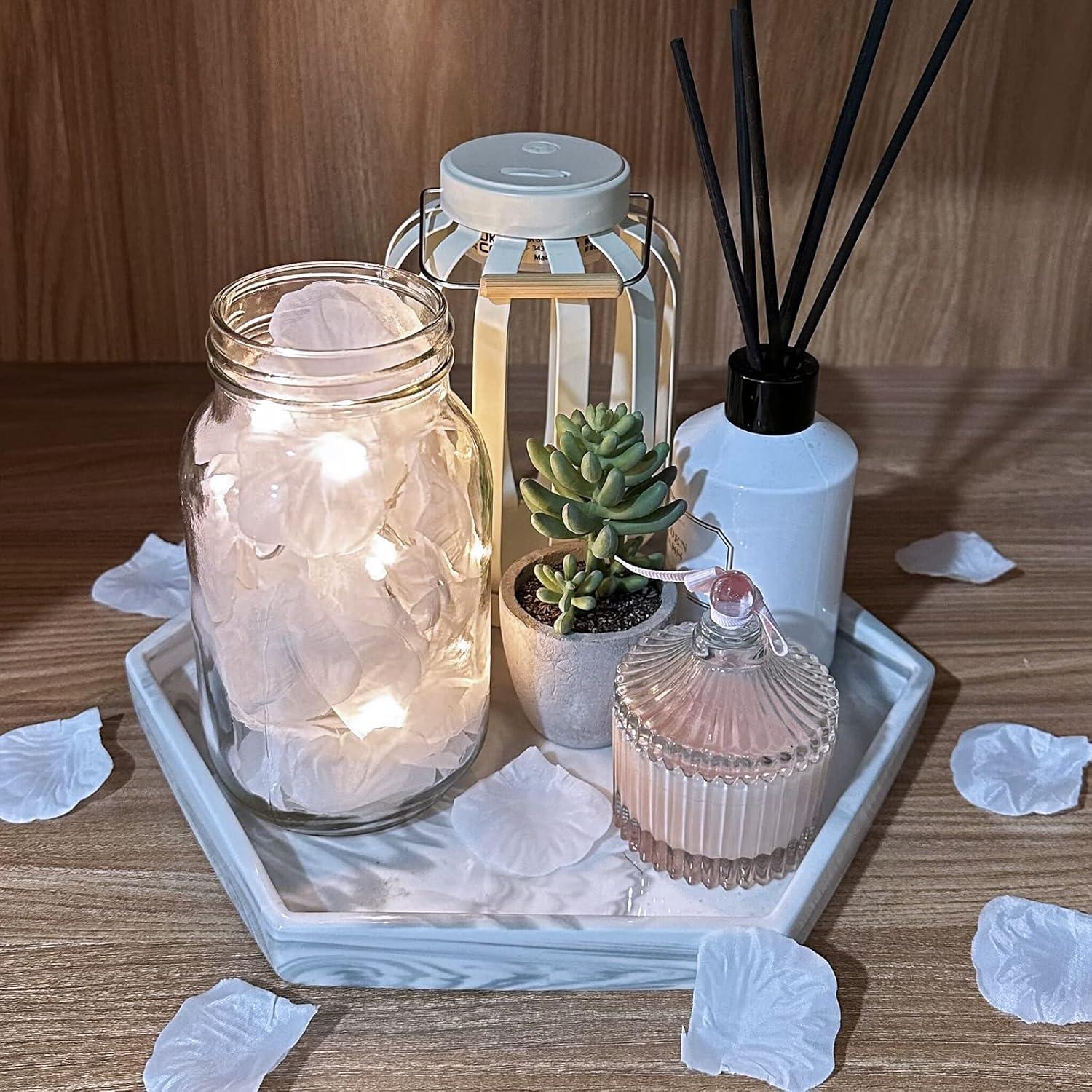 imageWinlyn 3000 Pcs Black Silk Rose Petals Set Scented Readytouse Separated Realistic Artificial Rose Flower Petals for Romantic Night Weddings Proposals Anniversaries Valentines Day Halloween DecorWhite