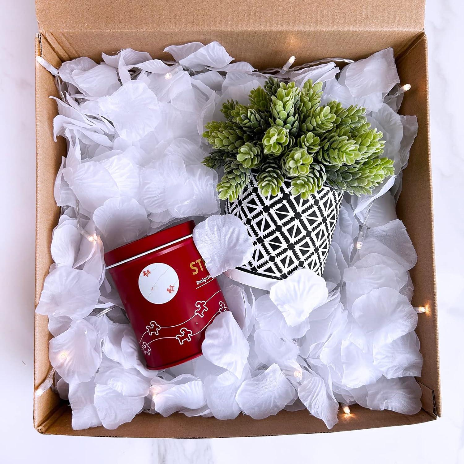 imageWinlyn 3000 Pcs Black Silk Rose Petals Set Scented Readytouse Separated Realistic Artificial Rose Flower Petals for Romantic Night Weddings Proposals Anniversaries Valentines Day Halloween DecorWhite