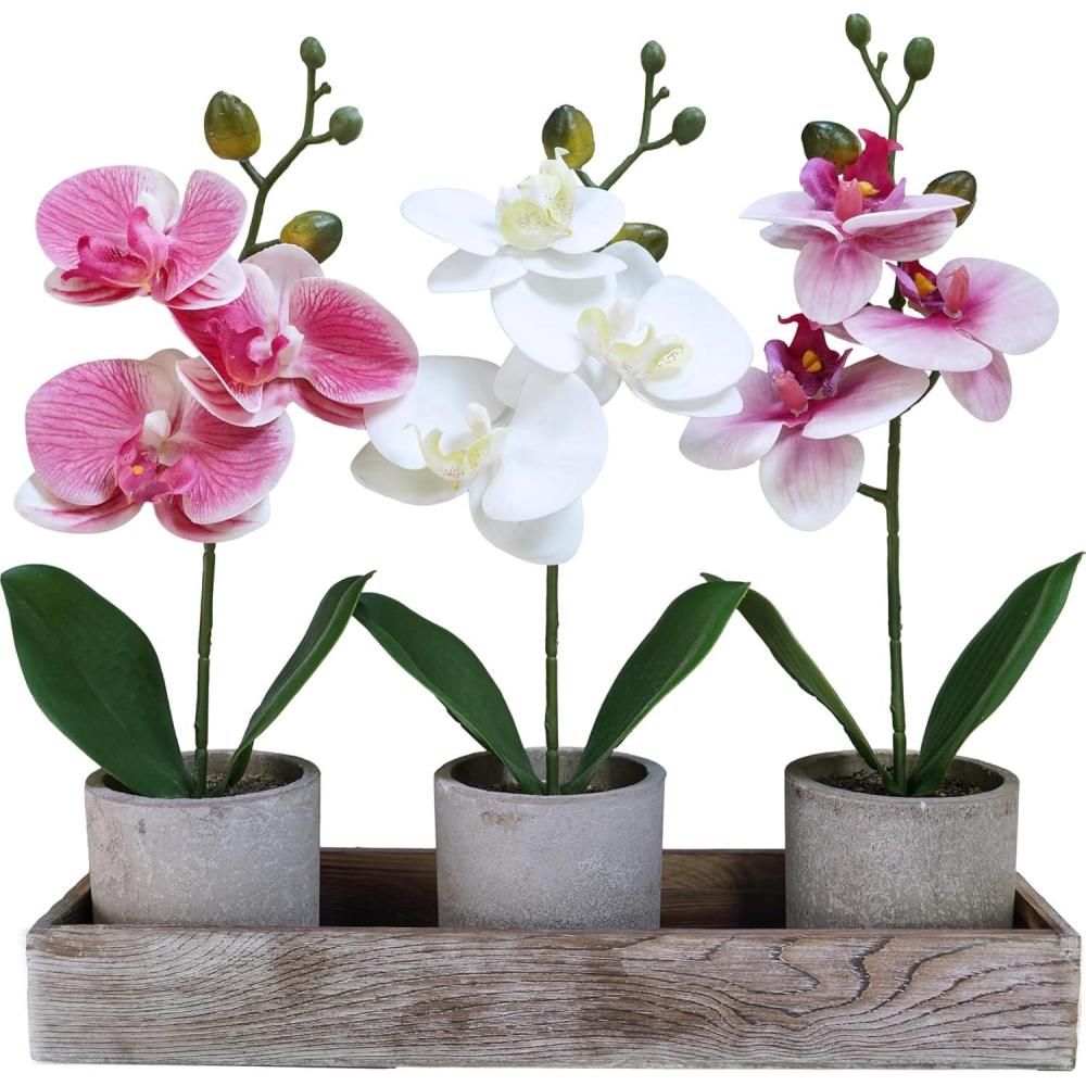 imageWinlyn Set of 3 Small Artificial Orchid Potted Plants Arrangement with Rustic Wood Planter Box Real Touch Faux Phalaenopsis Moth Orchid Flowers in Pots for Home Office Desk Shelf Table Centerpiece