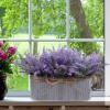 Winlyn 10 Inch Artificial Lavender Flower Arrangement in Rustic Oval Galvanized Metal Planter Box Faux Lavender Potted Plants for Farmhouse Spring Table Centerpiece Wedding Home Office Kitchen Décor