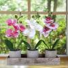 Winlyn Set of 3 Small Artificial Orchid Potted Plants Arrangement with Rustic Wood Planter Box Real Touch Faux Phalaenopsis Moth Orchid Flowers in Pots for Home Office Desk Shelf Table Centerpiece