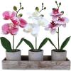 Winlyn Set of 3 Small Artificial Orchid Potted Plants Arrangement with Rustic Wood Planter Box Real Touch Faux Phalaenopsis Moth Orchid Flowers in Pots for Home Office Desk Shelf Table Centerpiece