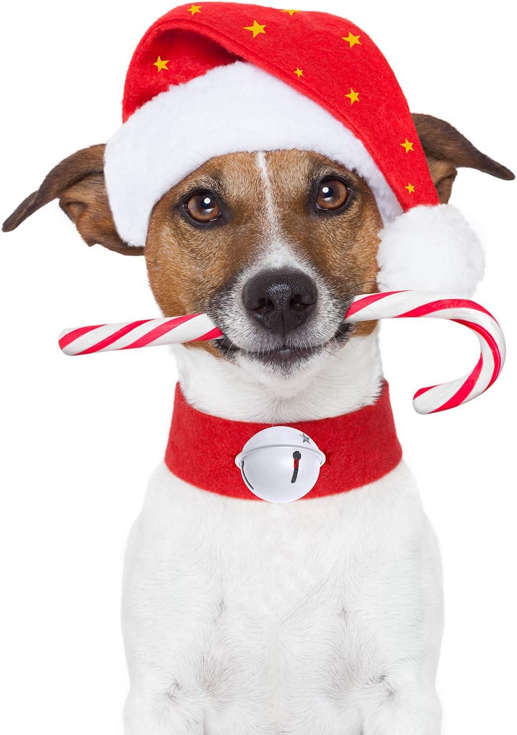 imageWinlyn 30 Pcs White Jingle Bells with Star Cutouts Christmas Metal Sleigh Bells Rustic Craft Bells for Christmas Tree Wreath Garland Ornaments Holiday DIY Decorations Assorted Sizes 16quot 24quot 35quot