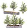 Winlyn 3 Pack Mini Frosted Artificial Pine Trees with Pinecones and Wood Bases Small Christmas Tabletop Trees in Rustic Wooden Planter for Farmhouse Christmas Holiday Decorations Table Centerpiece