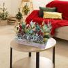 Winlyn Bulk Rustic Christmas Floral Picks and Pine Cones in Wooden Box – Holiday Table Décor