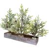 Winlyn 3 Pack Mini Frosted Artificial Pine Trees with Pinecones and Wood Bases Small Christmas Tabletop Trees in Rustic Wooden Planter for Farmhouse Christmas Holiday Decorations Table Centerpiece