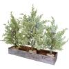 Winlyn 3 Pack Snowy Mini Cedar Trees with Pinecones and Wood Bases Artificial Small Christmas Tabletop Trees and Rustic Wood Planter for Winter Holiday Christmas Mantel Farmhouse Table Centerpiece