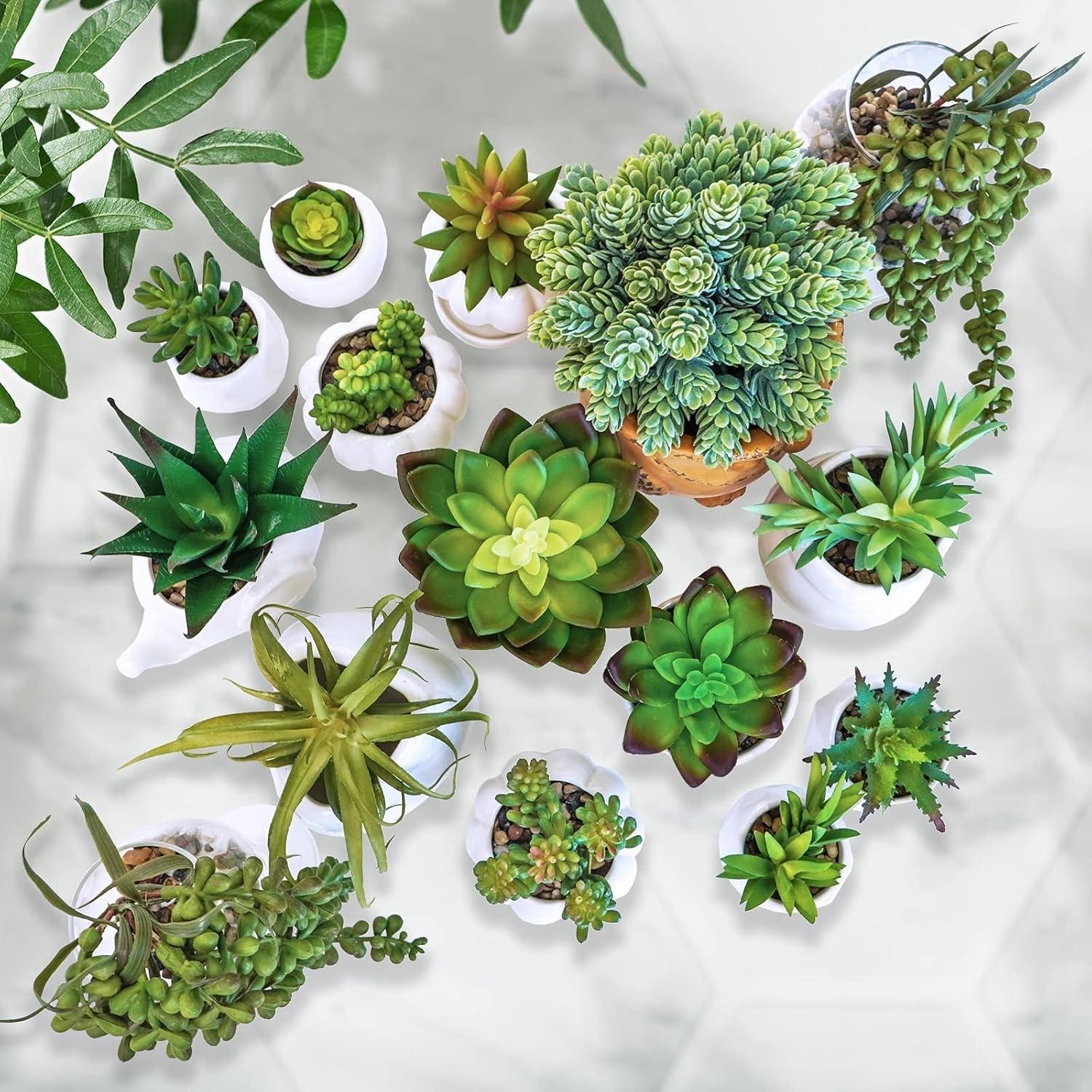 imageWinlyn 15 Pcs Artificial Succulents Unpotted Bulk Small Faux Succulent Plants Hanging Succulents Hops Aloe for Succulent Garden Wreath Floral Arrangement Indoor Outdoor Green Decor